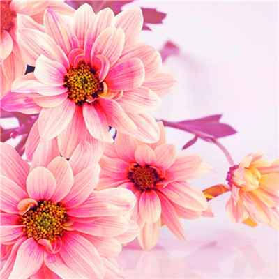 2023年最火爆微信头像(24张)