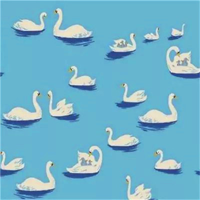 2023年最火爆微信头像(24张)