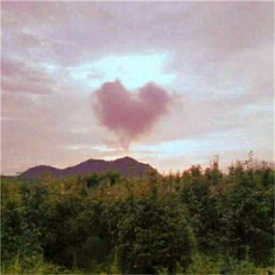 2023年最火爆微信头像(24张)