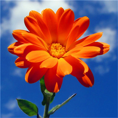 2023年最火爆微信头像(24张)