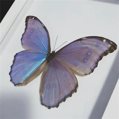 2023年最新最个性头像(精选24张)