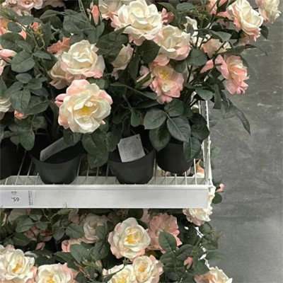 2023年最新最个性头像(精选24张)