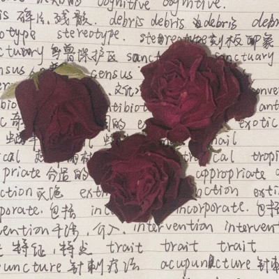 2023年最新最个性头像(精选24张)