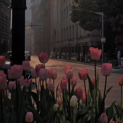 2023年最新最个性头像(精选24张)