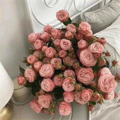 2023年最新最个性头像(精选24张)