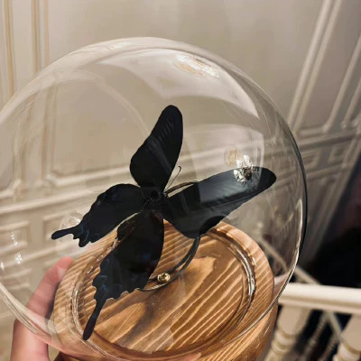 2023年最新最个性头像(精选24张)