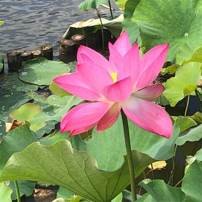 2023最火成年人头像(24张)