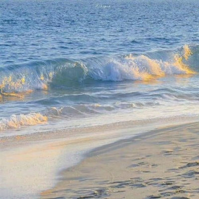 2023最火成年人头像(24张)