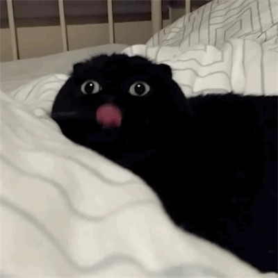 2023最火沙雕头像(24张)