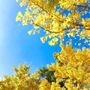 2023最潮最火微信头像(20张)