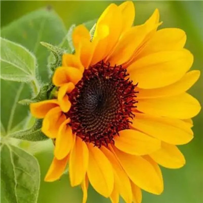 2023年最幸运头像大全(30张)