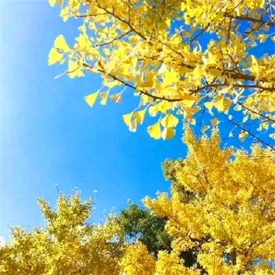 2023年最幸运头像大全(30张)