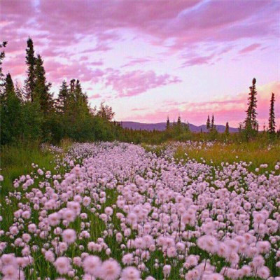 2023年最幸运头像大全(30张)