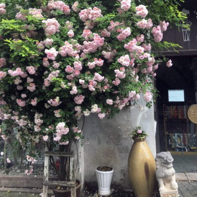 2023年最网红头像(精选24张)