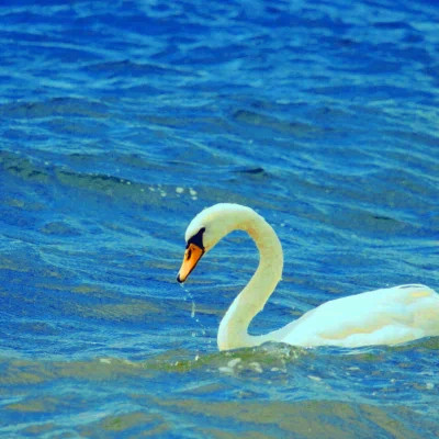 2023年最网红头像(精选24张)