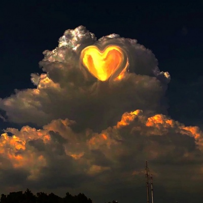 2023年最火的恶搞头像(16张)