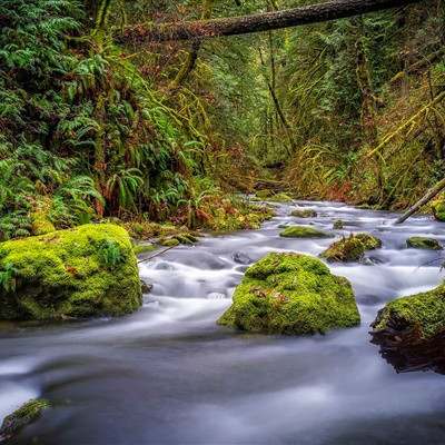 2023最吉祥的山水头像(22张)