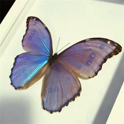 2023最惊艳的壁纸头像(精选28张)