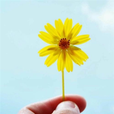 2023最潮的微信头像(精选24张)