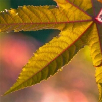 2023最潮的微信头像(精选24张)