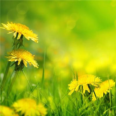 2023年6月最火头像(18张)