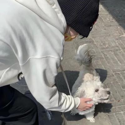 特别稀少超好看的头像男(26张)