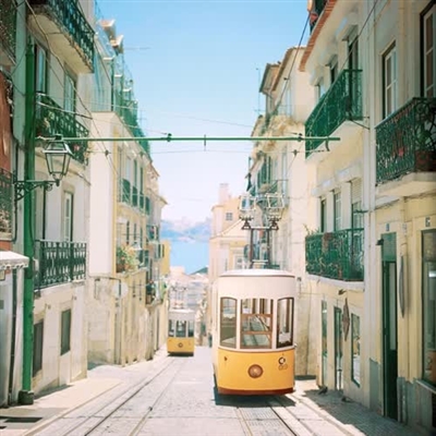 永久吸引人的头像(精选24张)