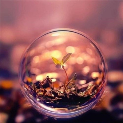 特别稀少超好看的头像(精选24张)