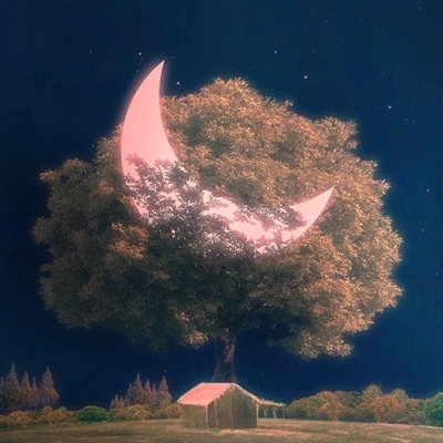 提升运气的微信头像图片(24张)