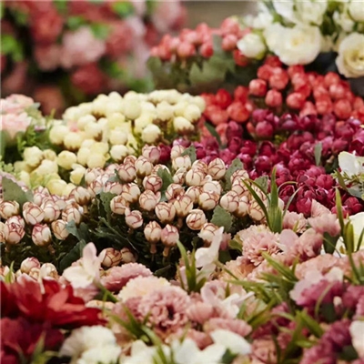 2023年花卉头像(精选24张)