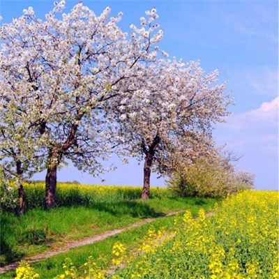 适合做微信头像的风景图片(24张)