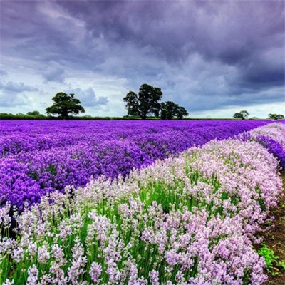 适合做微信头像的风景图片(24张)