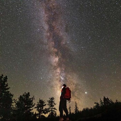 低调而不失优雅的头像(精选30张)