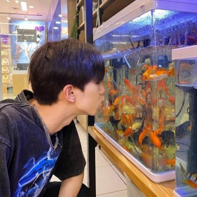 简单低调的头像个性(精选24张)