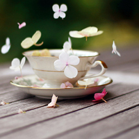 小清新花朵头像唯美(精选24张)