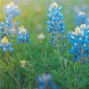 简单干净好看的头像(精选24张)