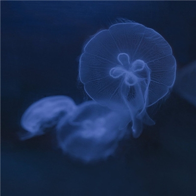 简单干净清爽好看头像(精选20张)