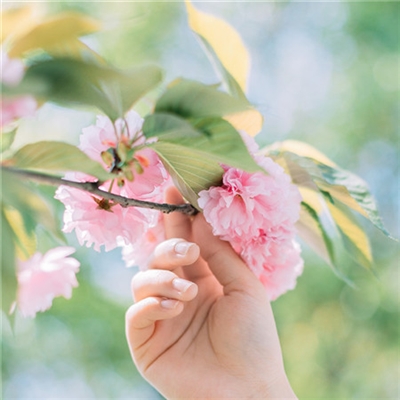 简单耐看微信头像高清(24张)