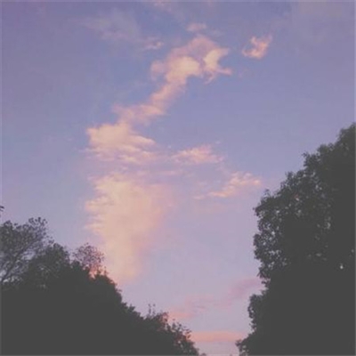 简单耐看微信头像高清(24张)