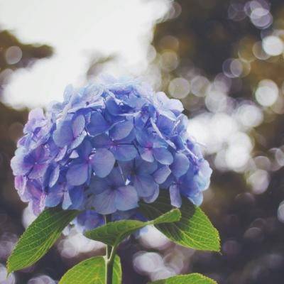 适合妈妈又显年轻的头像图片(22张)