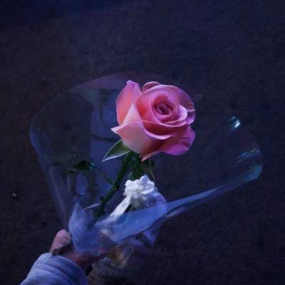 适合妈妈又显年轻的头像图片(22张)