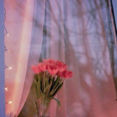 适合妈妈又显年轻的头像图片(22张)