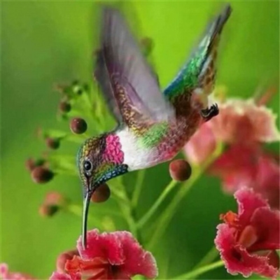 微信头像妈妈专用(精选22张)