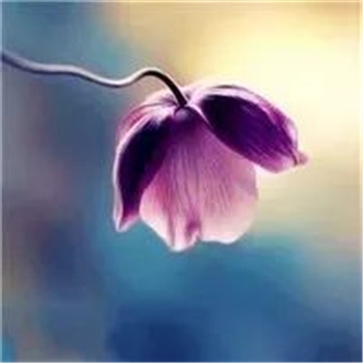 微信头像妈妈专用(精选22张)