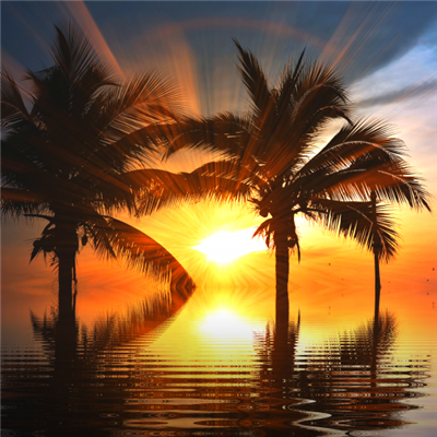 父母辈喜欢的头像(精选20张)