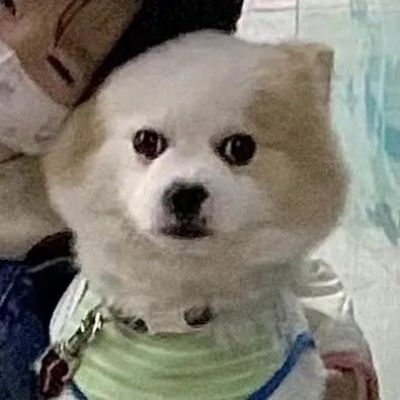 2023最火爆的微信情侣头像(24张)