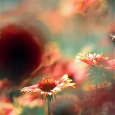 2023年最帅微信头像(18张)