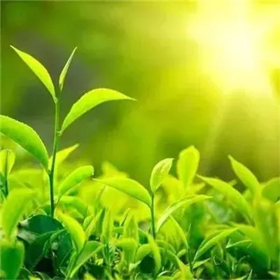 2023年最帅微信头像(18张)