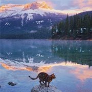 2023年最火爆的微信头像图片(18张)