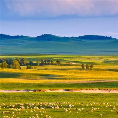 2023微信最火的头像(精选24张)